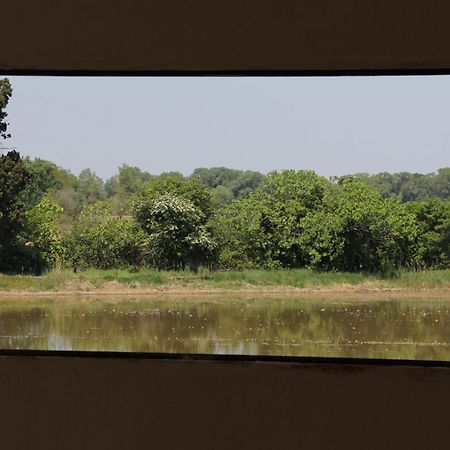 Mas De Bouvet En Camargue Bed & Breakfast Albaron ภายนอก รูปภาพ