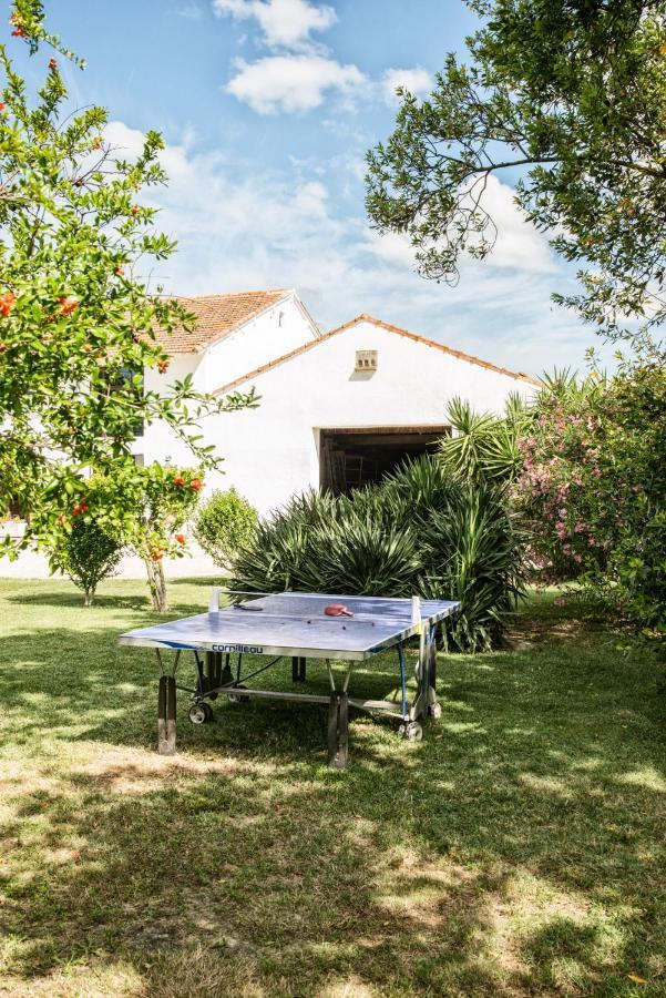 Mas De Bouvet En Camargue Bed & Breakfast Albaron ภายนอก รูปภาพ