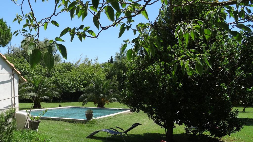 Mas De Bouvet En Camargue Bed & Breakfast Albaron ภายนอก รูปภาพ