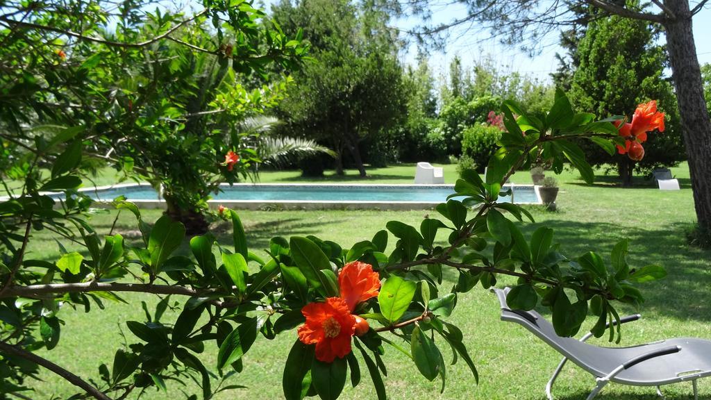Mas De Bouvet En Camargue Bed & Breakfast Albaron ภายนอก รูปภาพ
