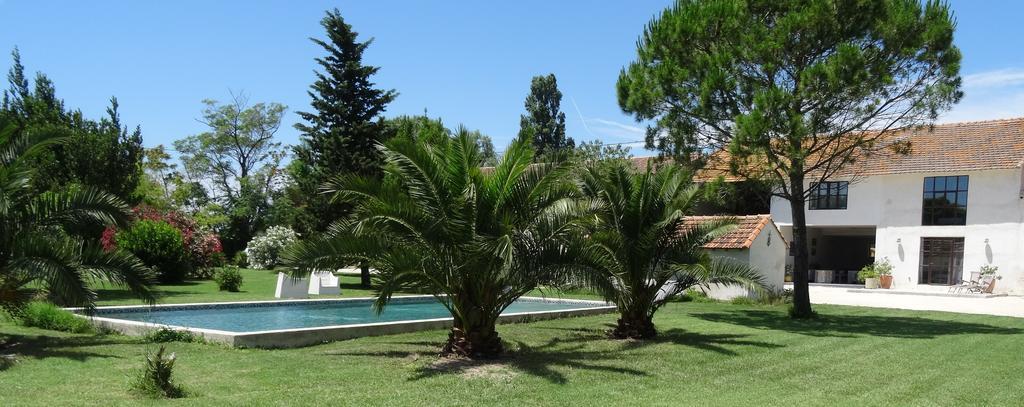Mas De Bouvet En Camargue Bed & Breakfast Albaron ภายนอก รูปภาพ