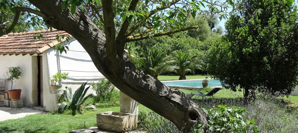 Mas De Bouvet En Camargue Bed & Breakfast Albaron ภายนอก รูปภาพ