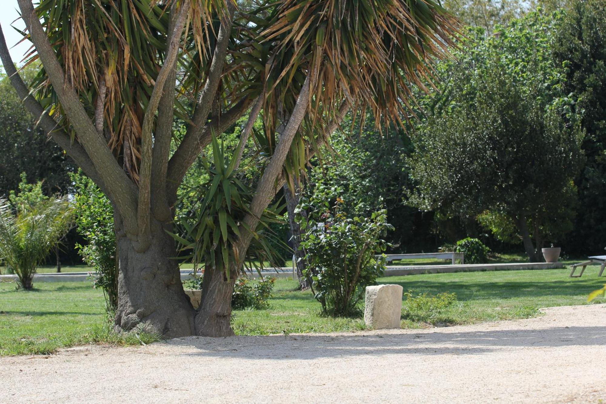 Mas De Bouvet En Camargue Bed & Breakfast Albaron ภายนอก รูปภาพ