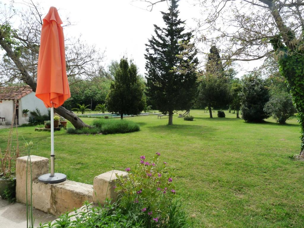 Mas De Bouvet En Camargue Bed & Breakfast Albaron ภายนอก รูปภาพ