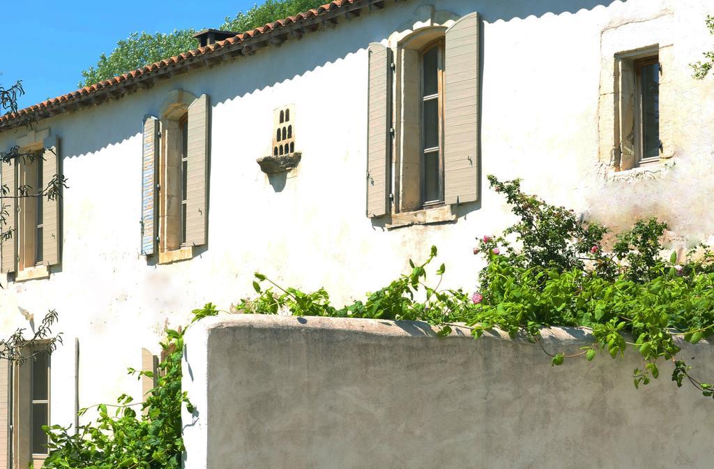 Mas De Bouvet En Camargue Bed & Breakfast Albaron ภายนอก รูปภาพ